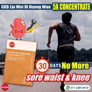 GKBIO Liu Wei Di Huang Wan Extract Pills | GKB六味地黄浓缩丸 | 补肾王 | Kidney Protection | 护肾保健 | Supplement 