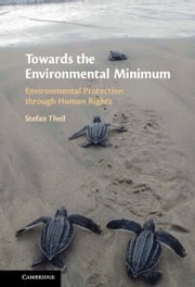 Towards the Environmental Minimum Stefan Theil
