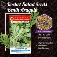 [Small Pack] K7 Benih Salad Rocket Arugula Soon Huat Seeds