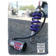 RCB Monoshock Raider150 DB2-line with tank 285mm
