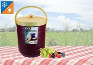 27L Ice Box Hot and Cold Box Storage Container Box Bekas Ais - NCI