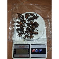 Star Aniseeds Star Anise 20g