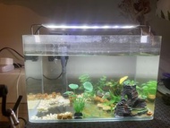 Small Aquarium with LED Light 魚缸水草