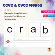 CCVC & CVCC Words Flipcards - Spell & Write