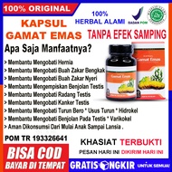 Obat Buah Zakar Bengkak Obat Alami Biji Jakar Besar Sebelah Telur Penis Bengkak Herbal Untuk Katup B