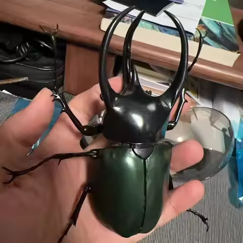 Authentic BANDAI Insect Encyclopedia Gashapon Chalcosoma Atlas Caucasus Beetle Hyper-Realistic Movab