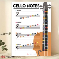 Cello Notes Music Theory Printable Poster. Learn Cello Notes. Cello Notes Chart.