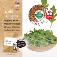 High quality seeds in Thailand 1 get 1 free wild rocket import vegetable seeds wild arugula, wild ro