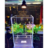 Super clear tank with raised bottom 15x15x20cm most cylindrical.