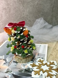 KL- 苔蘚松果聖誕樹-可自行DIY