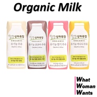 [Sangha] 100% Organic Milk 125ml (with free-gift) Strawberry Banana Cocoa Milk from Korea Sangha Far