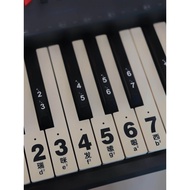 Large Character Version Transparent Sticker Piano 88-Key Electronic Keyboard 61-Key Key Sticker 54-K