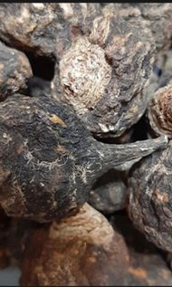 原粒秘魯黑瑪卡