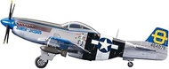 Hasegawa D25 1/72 US Army P-51D Mustang Plastic Model