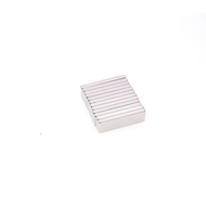 Small Magnet Powerful Magnet Small Magnet Steel 30x10x3mm NdFeB Magnet (10 Pieces)