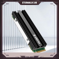 [eternally.sg] M.2 NGFF NVME 2280 SSD Heatsink with Silicone Thermal Pad for PS5 Desktop PC