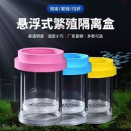 孔雀鱼繁殖罐鱼缸隔离盒母鱼产房套装漂浮试孵化盒dujiuq801.my26.6.11Guppy Breeding Tank, Fish Tank Isolation Box, Female Fish 