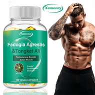 Sinusuportahan ng Xemenry Fadogia Agrestis at Tongkat Ali Natural Energy Supplement ang Lean Muscle 