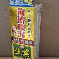 小林製薬 生葉EX 藥用牙膏,