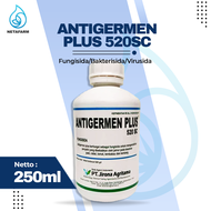 Fungisida ANTIGERMEN PLUS 520sc - 250ml