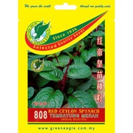 808 RED CEYLON SPINACH TEMBAYUNG MERAH 紅帝皇苗种籽