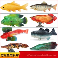 Simulation Marine Life Salmon Toy Bass Koi Model Silver Arowana Freshwater Fish Children Boys Girls 