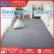 [SG Stock] Bedroom carpet/carpet for living room/fluffy carpet/room carpe/bedroom rug