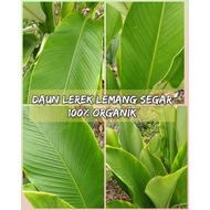 Daun Lerek Lemang (10 pcs)