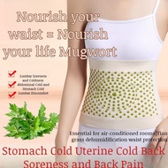 Mugwort Waist Care Belt 护腰带