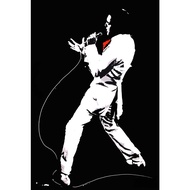 Elvis Presley Rock and Roll Music Poster Photo Picture In The Room Wall Decoration Band
