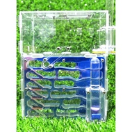 Acrylic Bionic Nest S1 Strengthen Moisturizing Activity Area Top Mounted Raise Ant Nest Ant Nest Ant