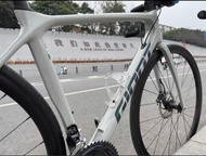 Giant 碳纖維公路車