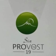 Sin Provost