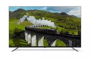 PHILIPS飛利浦 55吋 4K Google TV 液晶電視 55PUH7159