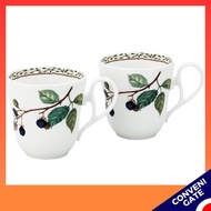 Noritake Orchard Garden Mug & Plate Set