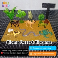 Diorama package model animal desert animal desert model desert bioma desert