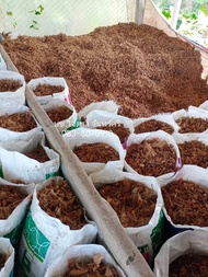 กาบมะพร้าวสับเล็ก💥 งานกระสอบใหญ่ 💥1กระสอบ💥หนักกระสอบละ 4-8กิโล กาบมะพร้าวสับรายใหญ่ที่สุดในภาคใต้ตรังค่ะ จ่าสู