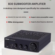 BRZHIFI 2025 Newly Launched B30 Mono High Power Full Frequency/Subwoofer TPA3255 Fever Digital Ampli