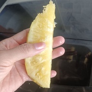 Buah nanas madu benih thailand