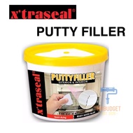 Putty Filler Cement & Wood/ Filler Cement and Wood Wall Mount 0.5kg