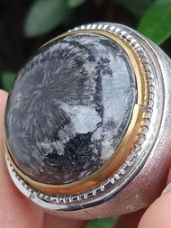 Batu Garut Gunung Jampang ( Batu Akik Fosil Kayu asli Natural )