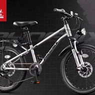 鳳凰牌山地單車 22寸 98 ％新淨