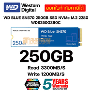 เอสเอสดี WD BLUE SN570 250GB SSD NVMe M.2 2280 (WDS250G3B0C | WDS500G3B0C | WDS100T3B0C) ประกันศูนย์