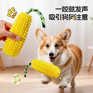 Dog Toys tpr Bite-Resistant Simulation Sounding Corn Bites Dog Toys Molar Sticks Amazon Hot-selling 