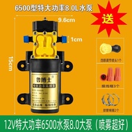 [Hot-Selling Style] Agricultural Electric Sprayer Water Pump 12V Sprayer Accessories Daquan Diaphrag