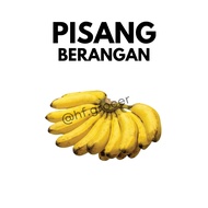 Pisang Berangan (+/- 2KG) | Cavendish Banana Fresh Fruits