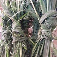 Daun Serai Wangi [50-70gm]seikat,daun lebar sumber wangian, bermenafaat ,menghalau tikus dan binatan