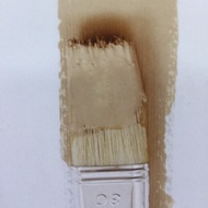 Sancora Interior Wall Paint (Gloss/Matt) - 1liter Mushroom
