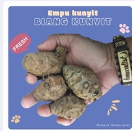 Biang kunyit 1kg Biang Kunyit Segar Empu Kunyit