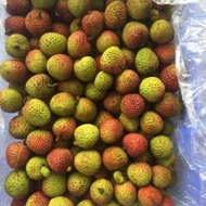 BUAH LECI SEGAR 1KG MANIS BERKUALITAS